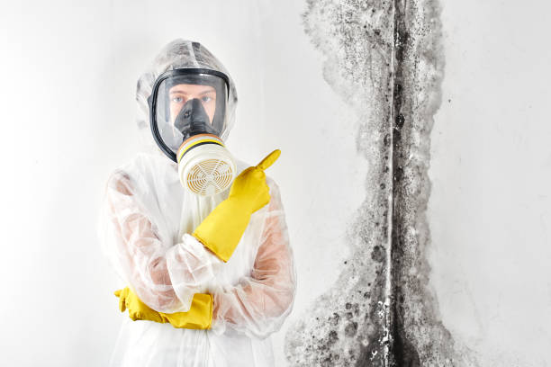 Best Mold Removal for HVAC Installations  in Wellsboro, PA